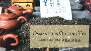 Osmanthus Oolong tea, Gui Hua Wulong Cha
