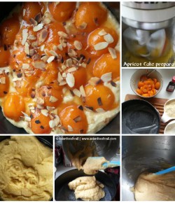 Apricot Almond Cake recipe