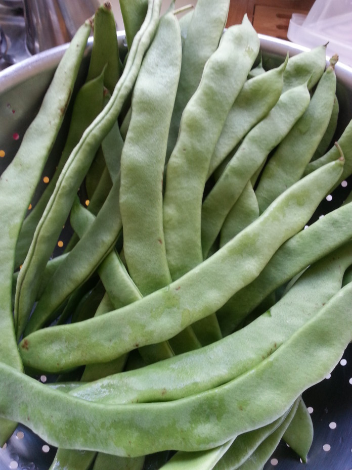 Flat beans stirfry with ground pork & bean sauce, recipe Asianfoodtrail